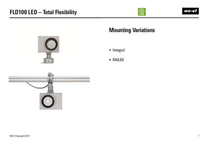 FLD100 LED – Total Flexibility Mounting Variations  Integral  RAIL66