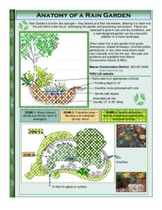 TIPS Anatomy for Stormwater Management at Home of a Rain Garden