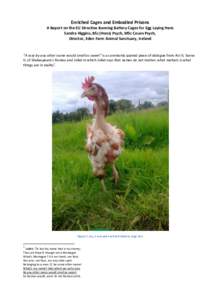Enriched Cages and Embodied Prisons A Report on the EU Directive Banning Battery Cages for Egg Laying Hens Sandra Higgins, BSc (Hons) Psych, MSc Couns Psych, Director, Eden Farm Animal Sanctuary, Ireland  