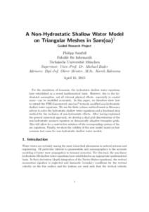 A Non-Hydrostatic Shallow Water Model on Triangular Meshes in Sam(oa)2 Guided Research Project Philipp Samfaß Fakul¨at f¨