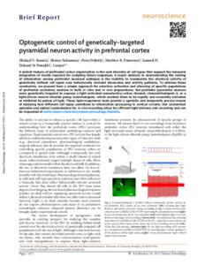 neuroscience  Brief Report Optogenetic control of genetically-targeted pyramidal neuron activity in prefrontal cortex