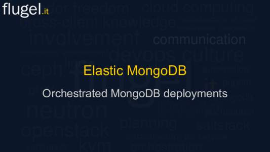 Elastic MongoDB Orchestrated MongoDB deployments About us...  Luis Vinay
