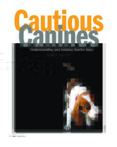 Cautious Canines Understanding and helping fearful dogs Eudald Castells