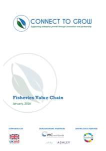          Fisheries Value Chain