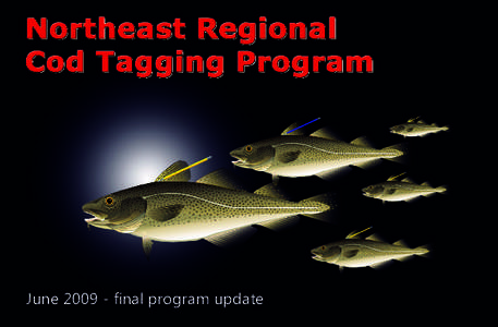 June[removed]final program update  Final update from the NRCTP Since its commencement in 2003, the Northeast Regional Cod Tagging Program (NRCTP) has been coordinated by the Gulf of Maine Research Institute (GMRI) and ha