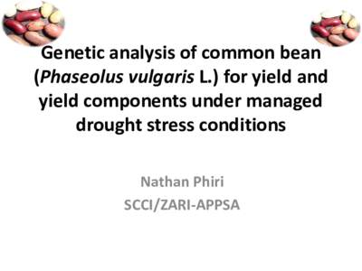 Genetic analysis of common bean (Phaseolus vulgaris L.) for yield and yield components under managed drought stress conditions