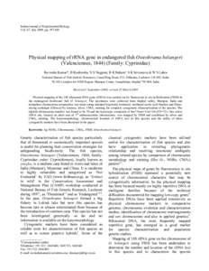 Indian Journal of Experimental Biology Vol. 47, July 2009, pp[removed]Physical mapping of rRNA gene in endangered fish Osteobrama belangeri (Valenciennes, [removed]Family: Cyprinidae) Ravindra Kumar*, B Kushwaha, N S Nagp