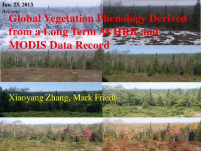 Jan. 23, 2013 Arizona Global Vegetation Phenology Derived from a Long Term AVHRR and MODIS Data Record