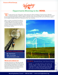 Focus on Wind Energy  Opportunity Blowing in the WIND. W