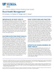 FLORIDA CITRUS PRODUCTION GUIDE:  Root Health Management1 E.G. Johnson, J.H. Graham, K.T. Morgan and C.I. Vincent 2  IMPORTANCE OF ROOT HEALTH