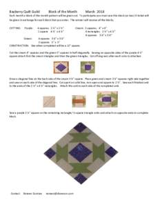Bayberry Quilt Guild  Block of the Month March 2018