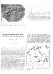 Feldmann, R.M., and W.J. ZinsmeisterFossil crabs (Decapoda: Brachyura) from the La Meseta Formation (Eocene) of Antarctica: Paleoecological and biogeographic implications. Journal of Paleontology, 58(4), 