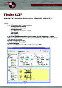 A Spirent Company  Ready to Use Test Solutions TTsuite-SCTP Analyzing End Points of the Stream Control Transmission Protocol (SCTP)