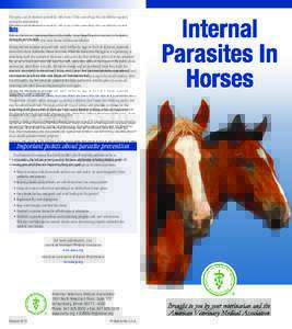 Internal Parasites in Horses (English)