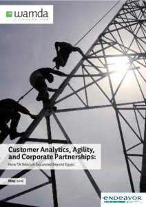 Customer Analytics, Agility, and Corporate Partnerships: How TA Telecom Expanded Beyond Egypt May 2016