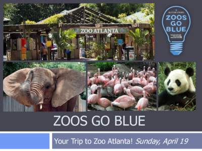 ZOOS GO BLUE Your Trip to Zoo Atlanta! Sunday, April 19 Autism Awareness Day at Zoo Atlanta! Going to the Zoo can be a lot of fun. Here are some things you can do to prepare for your exciting trip and make your day a