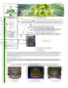 Volume 78 Issue 4  CACTUS CHRONICLE Holiday Party
