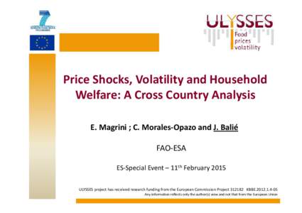 Price Shocks, Volatility and Household  Welfare: A Cross Country Analysis E. Magrini ; C. Morales‐Opazo and J. Balié FAO‐ESA ES‐Special Event – 11th February 2015 ULYSSES project has receiv