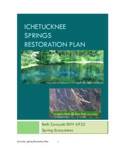 Microsoft Word - Zavoyski_Spring Restoration Plan.doc