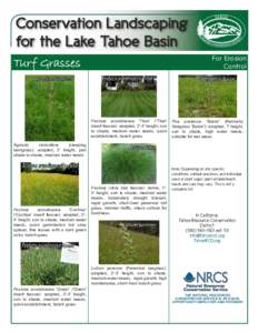 Conservation Landscaping for the Lake Tahoe Basin For Erosion Control  Turf Grasses