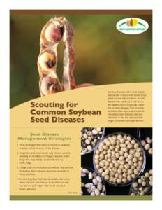 CROP PROTECTION NETWORK  Scouting for Common Soybean Seed Diseases Seed Disease