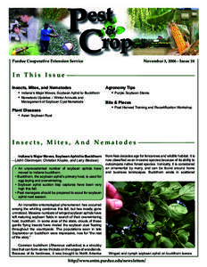 November 3, 2006 • Page   Pest&Crop No. 24 November 3, [removed]Issue 24