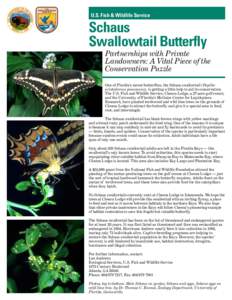 U.S. Fish & Wildlife Service  Schaus Swallowtail Butterfly Partnerships with Private Landowners: A Vital Piece of the