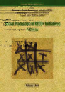 Social Protection in REDD+ Initiatives  Responsive Forest Governance Initiative (RFGI) Research Programme The Responsive Forest Governance Initiative (RFGI) is a research and training program, focusing on environmental