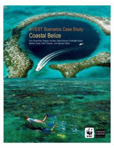 InVEST Scenarios Case Study:  Coastal Belize Amy Rosenthal, Gregory Verutes, Katie Arkema, Chantalle Clarke, Maritza Canto, Samir Rosado, and Spencer Wood