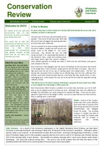Conservation Review   Wimbledon Common       Putney Heath   