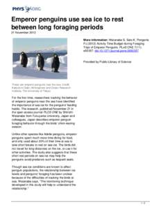 Emperor penguins use sea ice to rest between long foraging periods