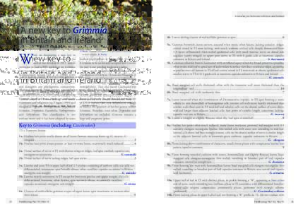 A new key to Grimmia in Britain and Ireland  A new key to Grimmia in Britain and Ireland Ron D. Porley