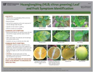 Huanglongbing (HLB; citrus greening) Leaf and Fruit Symptom Identification PP327  Jamie D. Burrow and