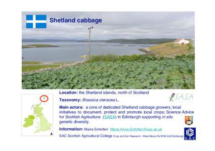 Shetland cabbage  Location: the Shetland islands, north of Scotland Taxonomy: Brassica oleracea L. Main actors: a core of dedicated Shetland cabbage growers; local initiatives to document, protect and promote local crops