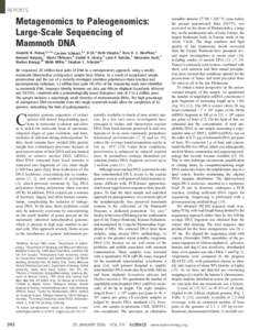 REPORTS  Metagenomics to Paleogenomics: Large-Scale Sequencing of Mammoth DNA Hendrik N. Poinar,1,2,3* Carsten Schwarz,1,2 Ji Qi,4 Beth Shapiro,5 Ross D. E. MacPhee,6