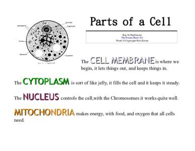 Parts of a Cell Rap by HipScience The Human Body 101 Words © Copyright-Naru Kwina  CELL MEMBRANE