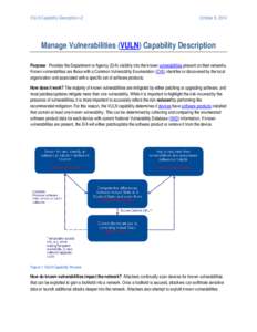 VULN Capability Description v2