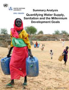 Summary Analysis  Quantifying Water Supply, Sanitation and the Millennium Development Goals