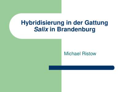 Hybridisierung in der Gattung Salix in Brandenburg Michael Ristow  Warum sind Weiden schwierig zu