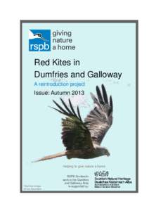 Red Kites in Dumfries and Galloway A reintroduction project Issue: Autumn 2013