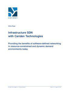White Paper  Infrastructure SDN