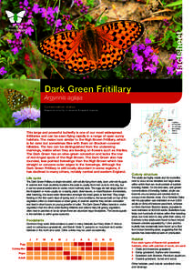factsheet Dark Green Fritillary Argynnis aglaja Conservation status Regional priority in several England regions.