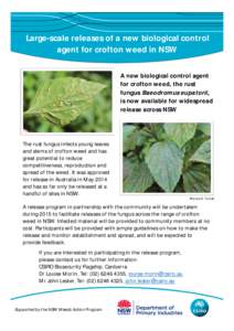 Large-scale releases of a new biological control agent for crofton weed in NSW A new biological control agent for crofton weed, the rust fungus Baeodromus eupatorii, is now available for widespread