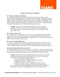 Microsoft Word - FS Safety valves in a nutshellNW