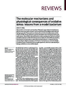 REVIEWS The molecular mechanisms and physiological consequences of oxidative stress: lessons from a model bacterium James A. Imlay