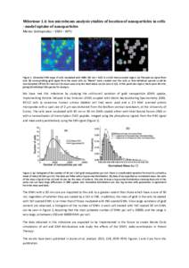 Milestone 1.4: Ion microbeam analysis studies of location of nanoparticles in cells - model uptake of nanoparticles Marios Sotiropoulos – ESR3 – WP1 Figure 1. Elemental PIXE maps of cells incubated with GNPs (50 nm +