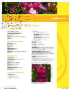 Snapdragon Snaptastic culture guide.indd