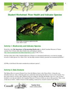 1  Student Worksheet: River Health and Indicator Species Mink frogs (Lithobates septentrionalis). Credit: Allan G. Austin