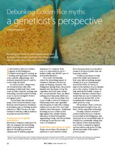 Debunking Golden Rice myths:  a geneticist’s perspective