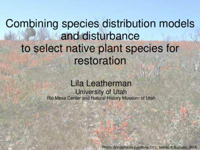 Combining species distribution models and disturbance to select native plant species for restoration Lila Leatherman University of Utah